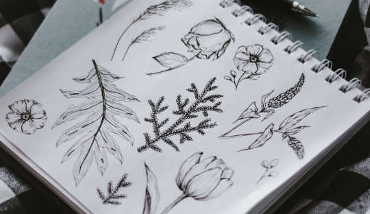 image of a sketchbook with ink sketches of plants laying on a gingham printed bed