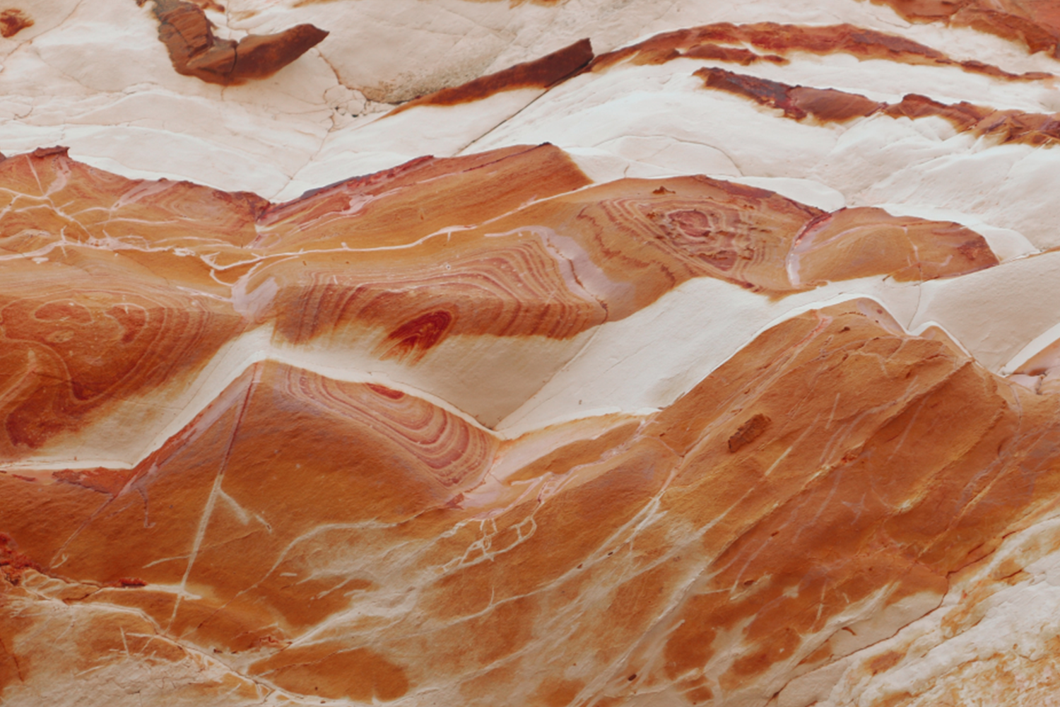 First Nations – Learning Creates Australia