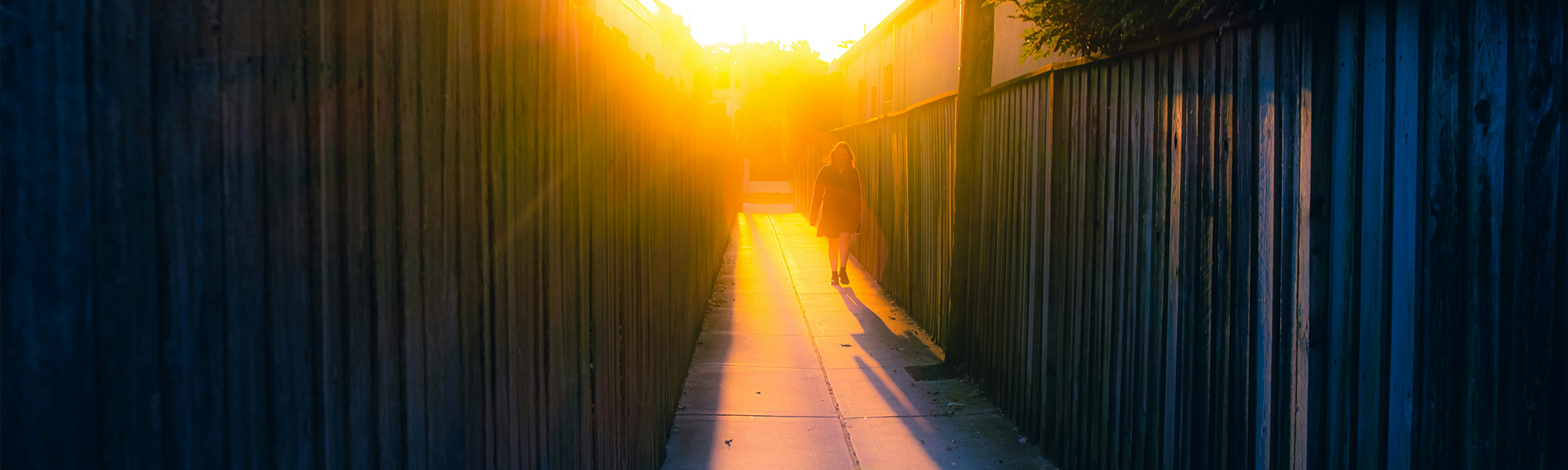 When Learning Stops Making Sense, Everyone Pays the Price